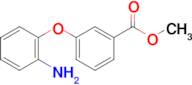 METHYL 3-(2-AMINOPHENOXY)BENZOATE