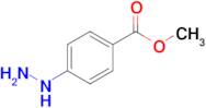 METHYL 4-HYDRAZINYLBENZOATE