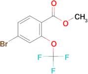 METHYL 4-BROMO-2-(TRIFLUOROMETHOXY)BENZOATE