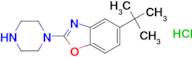 5-(tert-Butyl)-2-(piperazin-1-yl)benzo[d]oxazole hydrochloride