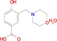 4-hydroxy-3-(morpholin-4-ylmethyl)benzoic acid hydrate