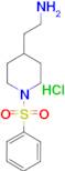 {2-[1-(phenylsulfonyl)piperidin-4-yl]ethyl}amine hydrochloride