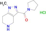 1-methyl-3-(pyrrolidin-1-ylcarbonyl)-4,5,6,7-tetrahydro-1H-pyrazolo[4,3-c]pyridine hydrochloride