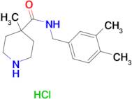 N-(3,4-dimethylbenzyl)-4-methylpiperidine-4-carboxamide hydrochloride