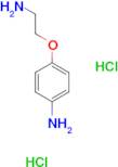 [4-(2-aminoethoxy)phenyl]amine dihydrochloride