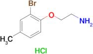 [2-(2-bromo-4-methylphenoxy)ethyl]amine hydrochloride