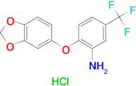 [2-(1,3-benzodioxol-5-yloxy)-5-(trifluoromethyl)phenyl]amine hydrochloride