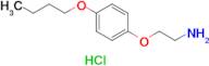 [2-(4-butoxyphenoxy)ethyl]amine hydrochloride