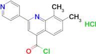 7,8-dimethyl-2-pyridin-4-ylquinoline-4-carbonyl chloride hydrochloride