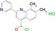 7,8-dimethyl-2-pyridin-3-ylquinoline-4-carbonyl chloride hydrochloride