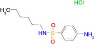 4-amino-N-hexylbenzenesulfonamide hydrochloride