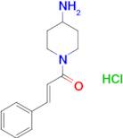 1-cinnamoylpiperidin-4-amine hydrochloride