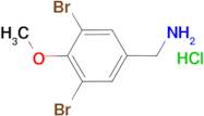 (3,5-dibromo-4-methoxybenzyl)amine hydrochloride