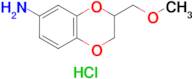 [3-(methoxymethyl)-2,3-dihydro-1,4-benzodioxin-6-yl]amine hydrochloride