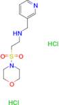 [2-(morpholin-4-ylsulfonyl)ethyl](pyridin-3-ylmethyl)amine dihydrochloride