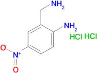 [2-(aminomethyl)-4-nitrophenyl]amine dihydrochloride