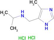 N-[(4-methyl-1H-imidazol-5-yl)methyl]propan-2-amine dihydrochloride