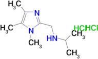 N-[(1,4,5-trimethyl-1H-imidazol-2-yl)methyl]propan-2-amine dihydrochloride