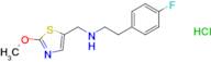 [2-(4-fluorophenyl)ethyl][(2-methoxy-1,3-thiazol-5-yl)methyl]amine hydrochloride