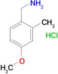 (4-methoxy-2-methylbenzyl)amine hydrochloride