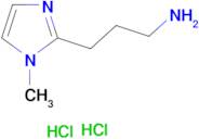[3-(1-methyl-1H-imidazol-2-yl)propyl]amine dihydrochloride