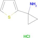 [1-(2-thienyl)cyclopropyl]amine hydrochloride