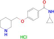 N-cyclopropyl-4-(piperidin-3-ylmethoxy)benzamide hydrochloride