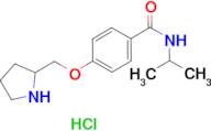 N-isopropyl-4-(pyrrolidin-2-ylmethoxy)benzamide hydrochloride