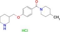 4-methyl-1-[4-(piperidin-3-ylmethoxy)benzoyl]piperidine hydrochloride