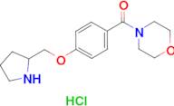 4-[4-(pyrrolidin-2-ylmethoxy)benzoyl]morpholine hydrochloride