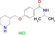 N-isopropyl-4-(piperidin-3-ylmethoxy)benzamide hydrochloride