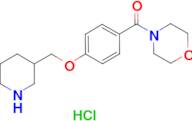 4-[4-(piperidin-3-ylmethoxy)benzoyl]morpholine hydrochloride