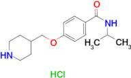 N-isopropyl-4-(piperidin-4-ylmethoxy)benzamide hydrochloride