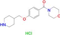 4-[4-(piperidin-4-ylmethoxy)benzoyl]morpholine hydrochloride