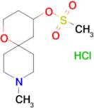 9-methyl-1-oxa-9-azaspiro[5.5]undec-4-yl methanesulfonate hydrochloride