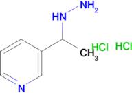 3-(1-hydrazinoethyl)pyridine dihydrochloride