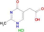 (4-hydroxy-2-methylpyrimidin-5-yl)acetic acid hydrochloride