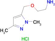 {2-[(1,3-dimethyl-1H-pyrazol-5-yl)methoxy]ethyl}amine hydrochloride