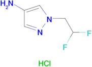 1-(2,2-difluoroethyl)-1H-pyrazol-4-amine hydrochloride