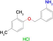 {3-[(2,4-dimethylphenoxy)methyl]phenyl}amine hydrochloride