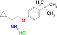 [2-(4-tert-butylphenoxy)-1-cyclopropylethyl]amine hydrochloride