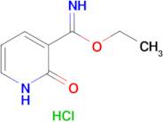 ethyl 2-oxo-1,2-dihydropyridine-3-carboximidoate hydrochloride