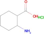 2-aminocyclohexanecarboxylic acid hydrochloride