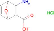 3-amino-7-oxabicyclo[2.2.1]hept-5-ene-2-carboxylic acid hydrochloride