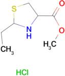 methyl 2-ethyl-1,3-thiazolidine-4-carboxylate hydrochloride