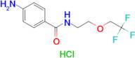 4-amino-N-[2-(2,2,2-trifluoroethoxy)ethyl]benzamide hydrochloride