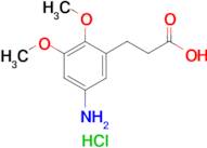 3-(5-amino-2,3-dimethoxyphenyl)propanoic acid hydrochloride