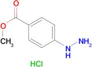 methyl 4-hydrazinobenzoate hydrochloride