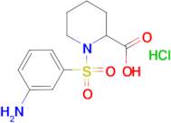 1-[(3-aminophenyl)sulfonyl]piperidine-2-carboxylic acid hydrochloride