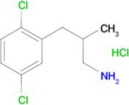 [3-(2,5-dichlorophenyl)-2-methylpropyl]amine hydrochloride